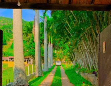 WhatsApp Image 2025-10-29 at 10.08.04 (3)