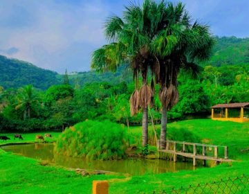 WhatsApp Image 2025-10-29 at 10.08.05 (2)