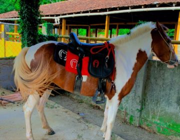 WhatsApp Image 2025-10-29 at 10.08.05 (3)