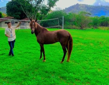 WhatsApp Image 2025-10-29 at 10.09.00 (2)