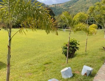 WhatsApp Image 2025-10-29 at 10.09.01