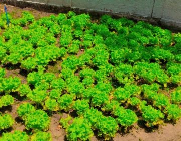 WhatsApp Image 2025-10-29 at 10.10.41 (1)