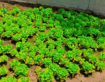 WhatsApp Image 2025-10-29 at 10.10.41 (1)