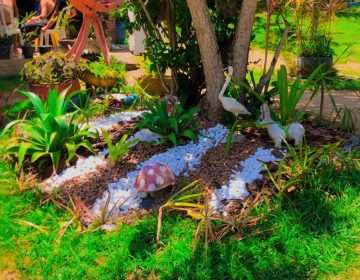 WhatsApp Image 2025-10-29 at 10.10.43 (4)